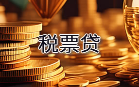 楚雄税票贷
